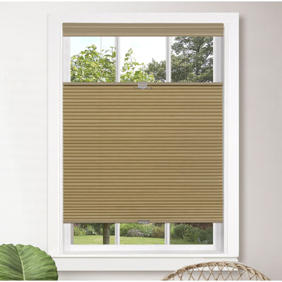 Semi Sheer Cellular Shade