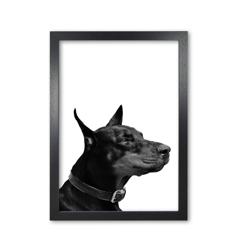 Dog - Print, Black Grain Frame, 30 cm H x 21 cm W x 5 cm D
