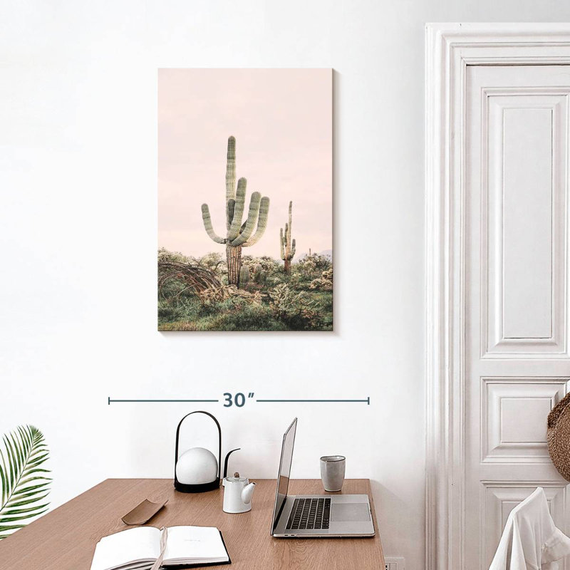Cactus rosé et timide, H 30 po x l 20 po
