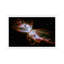 1 Piece Wall Art on Canvas-546283618-656882497