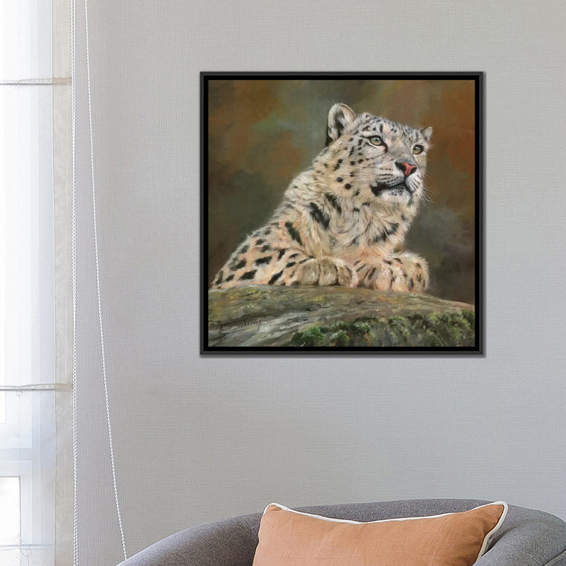 « snow leopard on rock », impression sur toile, H 37 po x l 37 po x P 1,5 po, Toile encadrée noire, Pas de tapis