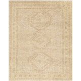 Destiny Hand Knotted Wool Vintage Look Area Rug in Beige