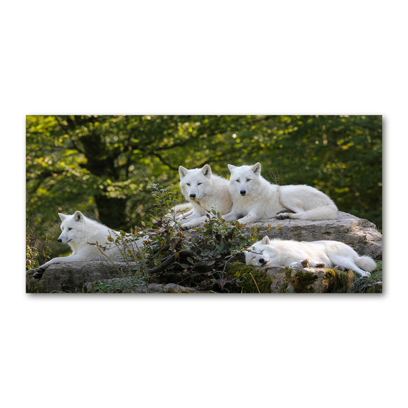 White Wolves Rock - Wrapped Canvas Print