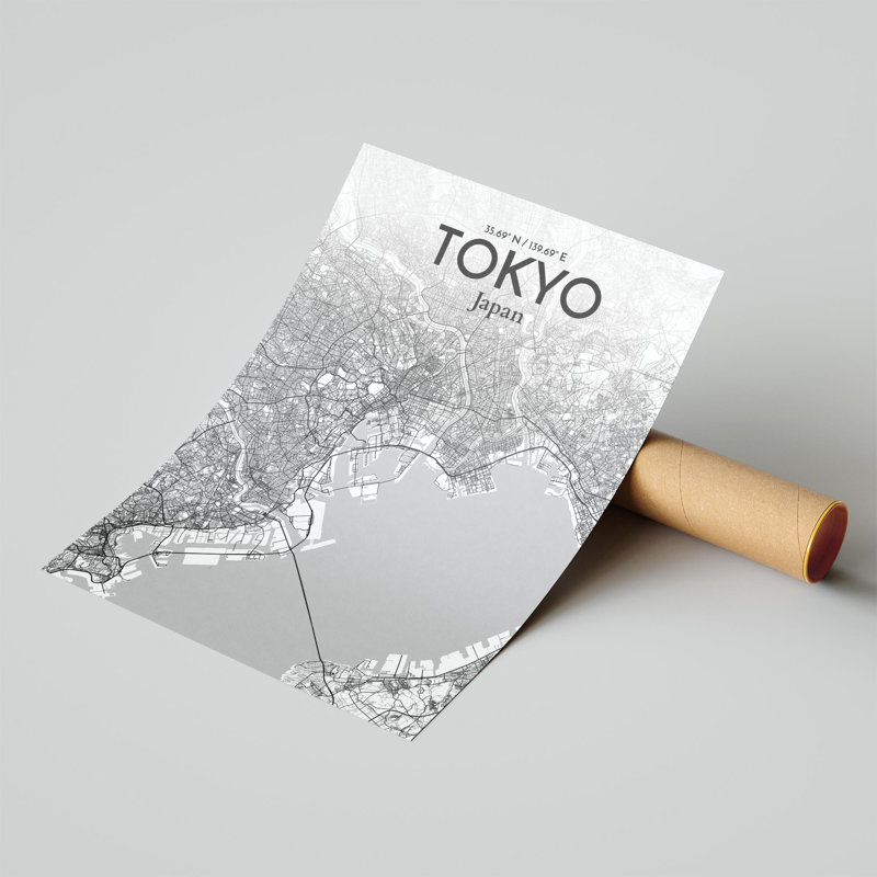 Carte de la ville de Tokyo, impression, H 24 po x l 18 po, Gris / blanc