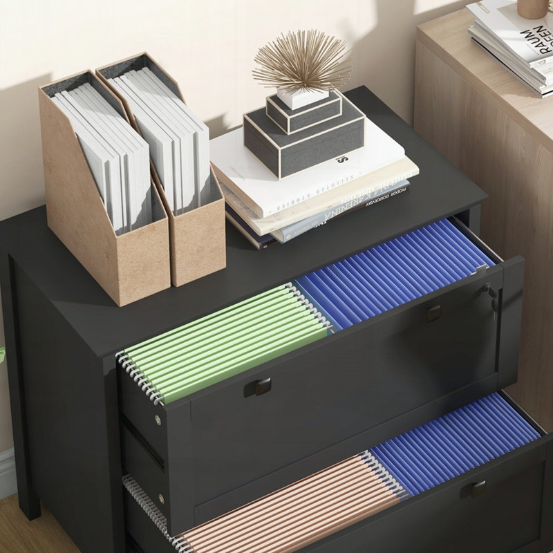 2 Drawer File Cabinet with Lock, Lateral Filing Cabinet with Keys and Adjustable Hanging Bar for Letter, A4 and Legal Size, File Cabinet for Home Office