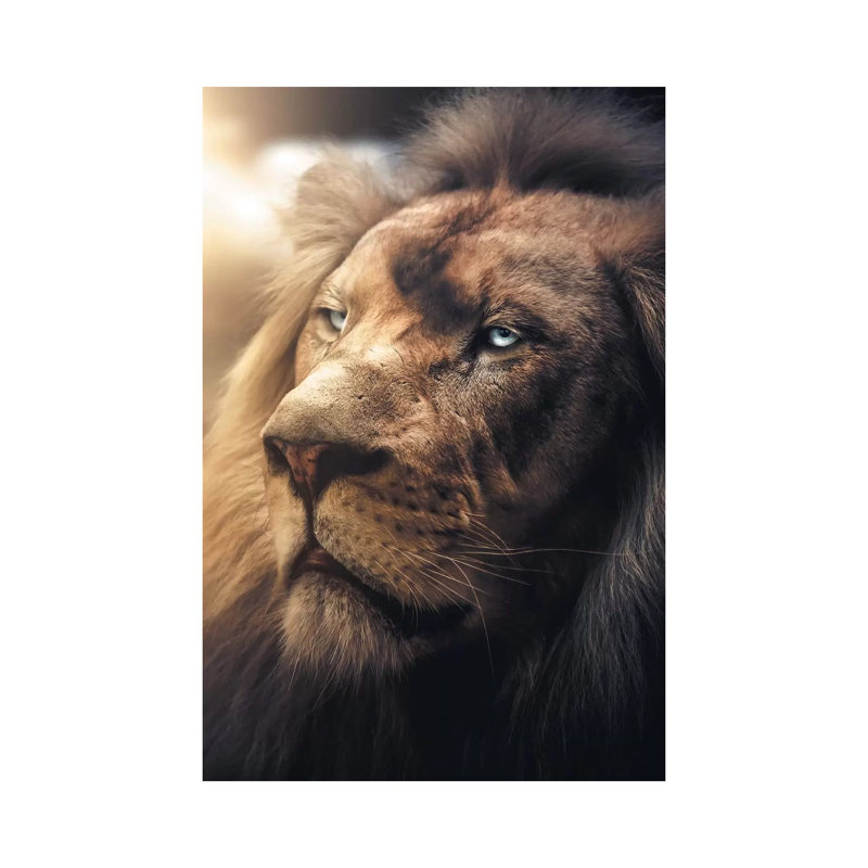 Lion Boss by Zenja Gammer - Print on Canvas, Wrapped Canvas, 30.48 cm H x 45.72 cm W