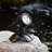Howse Black Plug-in Integrated LED Spotlight