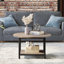Bertran 4 Legs Coffee Table with Storage-655262446-655224041