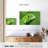Green Lizard Closeup-1099450973