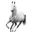 Le Cheval Blanc IV Print by Sofia Fox-26773449-26773446