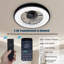 Ceiling Fan
