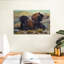 Brousse sauge Brampt Siesta-107845627