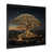Black Single Picture Framed