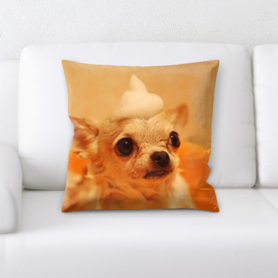 Aiden Microsuede Reversible Throw Pillow