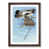 Walnut Framed selected