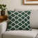 Indoor and Outdoor Throw Pillow