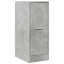 Arold Accent Chest-1816257327