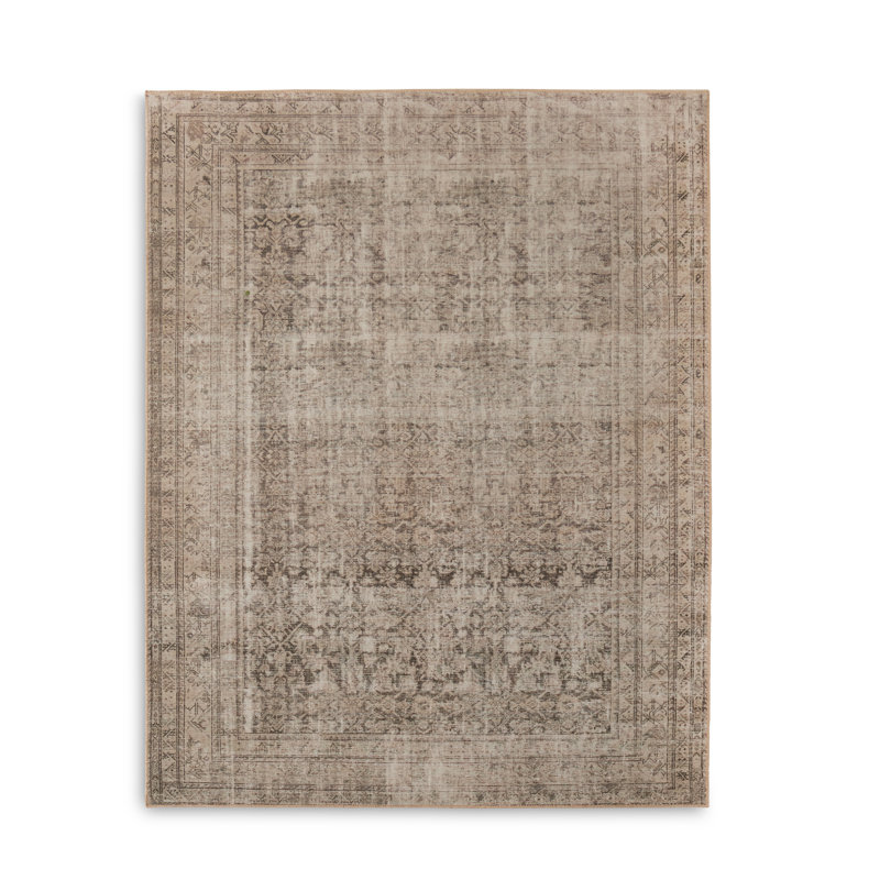 Nala Southwestern Area Rug in Natural/Light Brown, Rectangle 10' x 14'