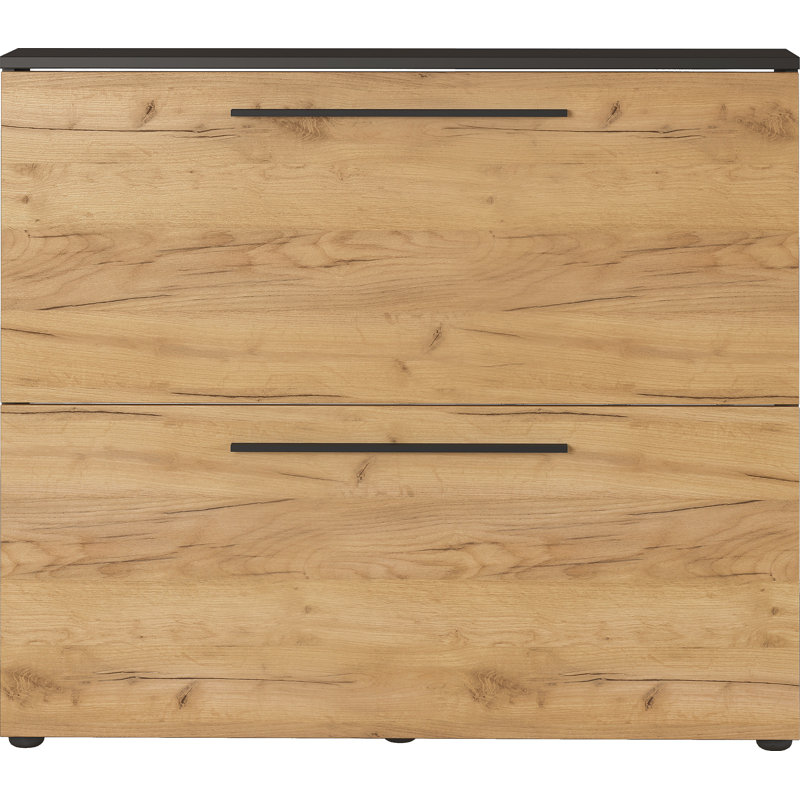 Wildomar Shoe Storage Cabinet, Graphite/Oak