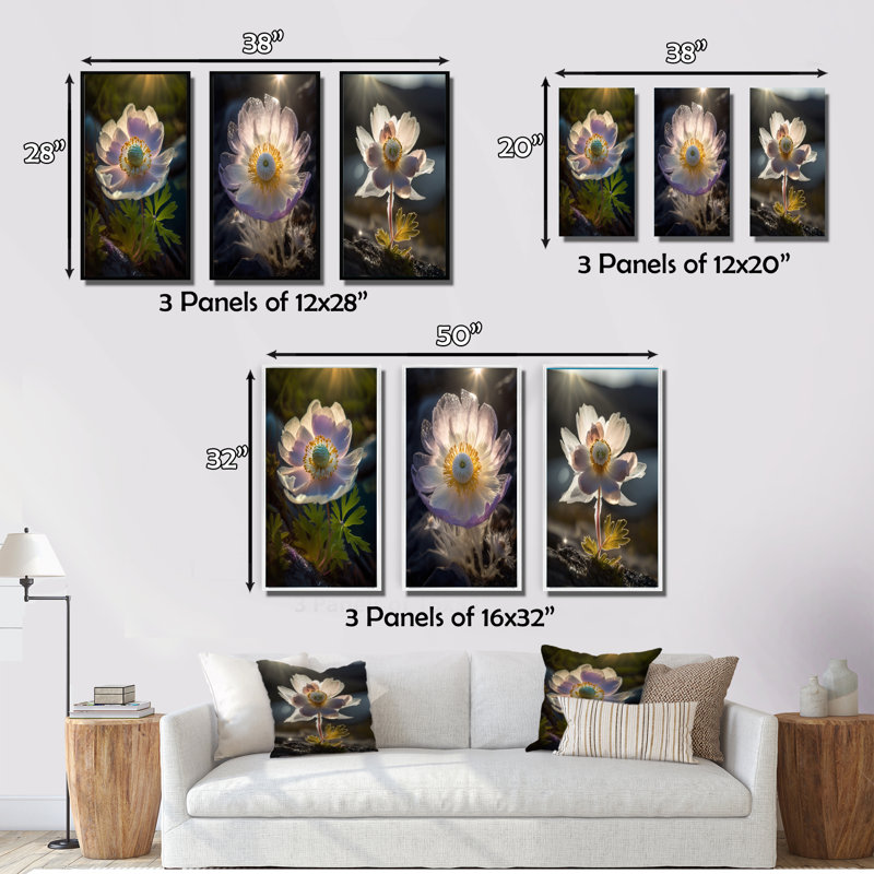 «Delicate Blooming Anemone In Morning Sunshine», 3 pièces sur toile, H 20 po x l 36 po, Cadre flottant noir