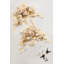 Guirlandes florales Ling's Moment Sweetheart pour table, coloris beige fauve et beige sable-435357599