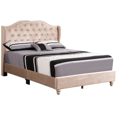 Beige Upholstered Bed - Queen, Velvet Transitional Look Elegant Queen Beige, Velvet, Foundation