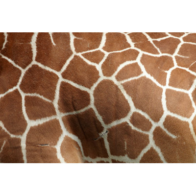 Giraffe Pattern by Bikec - Wrapped Canvas Print