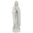 Blessed Virgin Mary Bonded Figurine