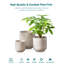 Ceramic Pot Planter-29410798