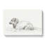 Lying Sheep by Jean Bernard - Wrapped Canvas Drawing - Wrapped Canvas-55365293
