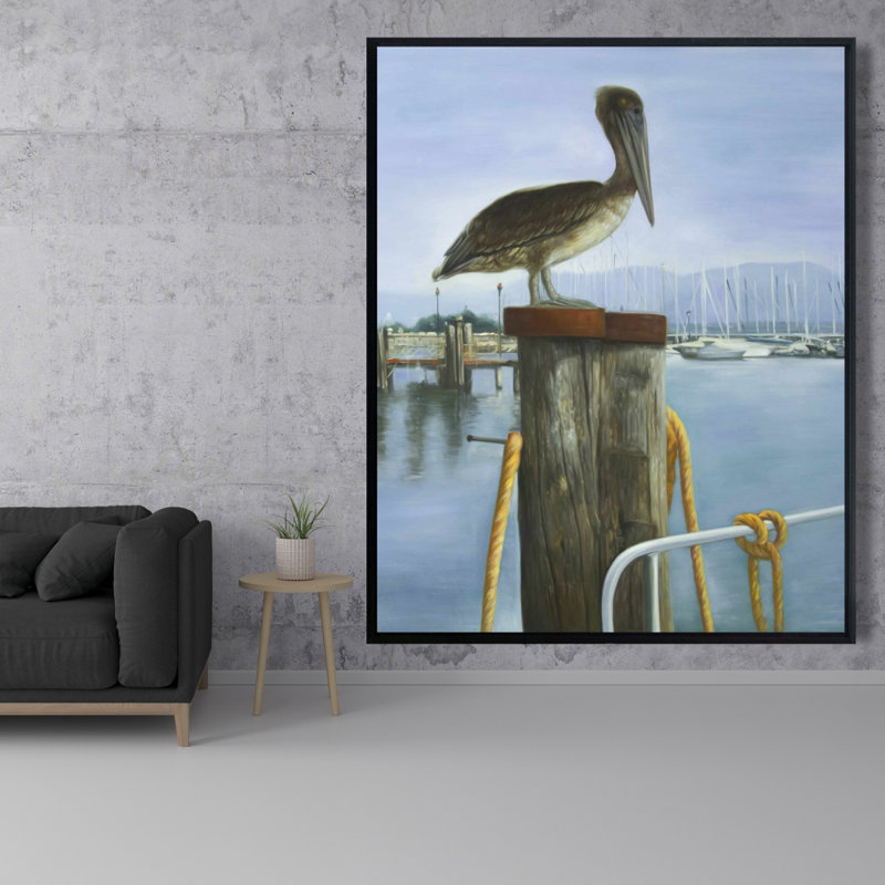 " Pelican "