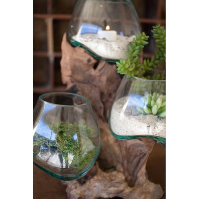  Three Blown Glass Bowls on Driftwood Base 15" H Decorative Accent