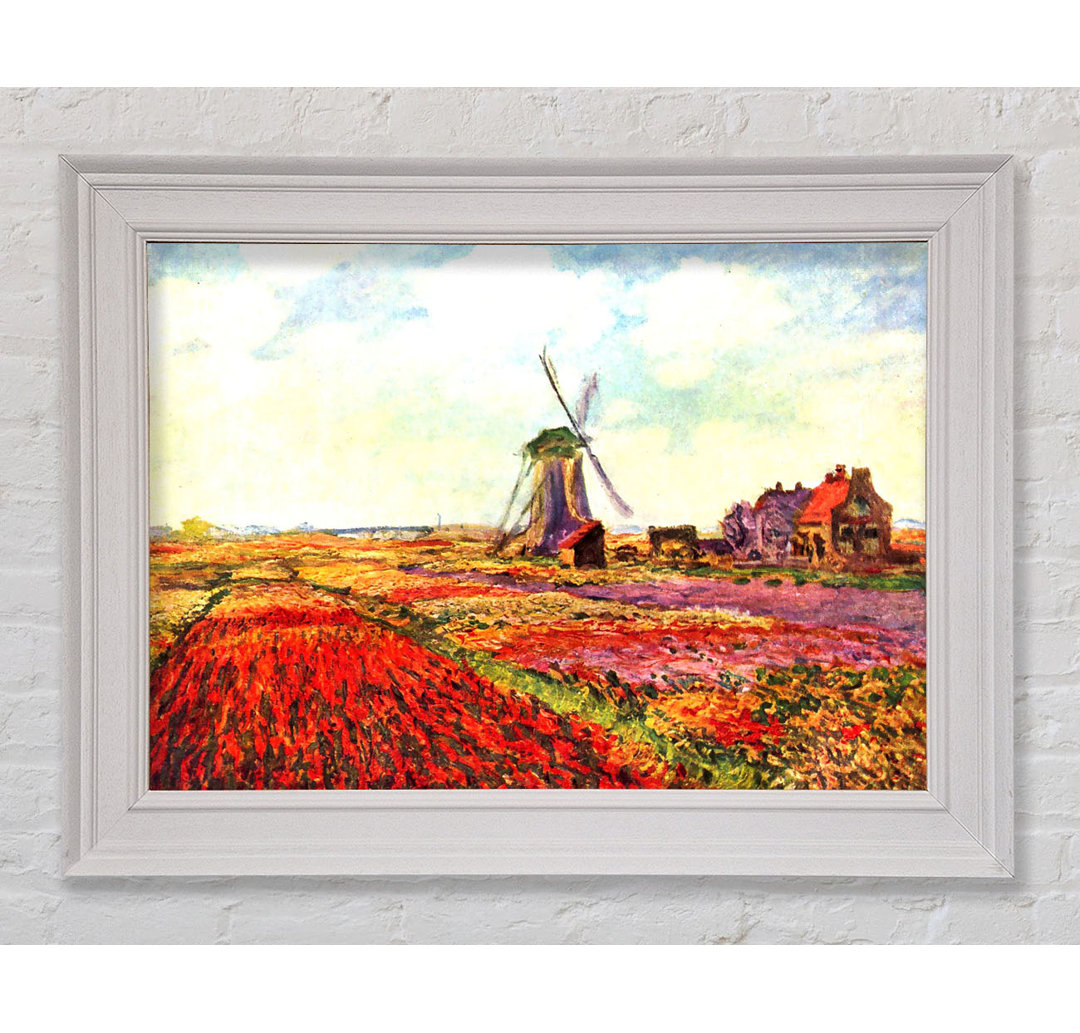 Gerahmtes Leinwandbild Tulips Of Holland von Claude Monet