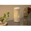 Tiptonville Porcelain Table Lamp