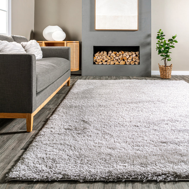 Andreanna Contemporary Performance Shag Light Gray Rug, Square 8'