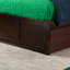 Lit plateforme en bois massif avec pied de lit et lit gigogne Concorde-489406902-460099018