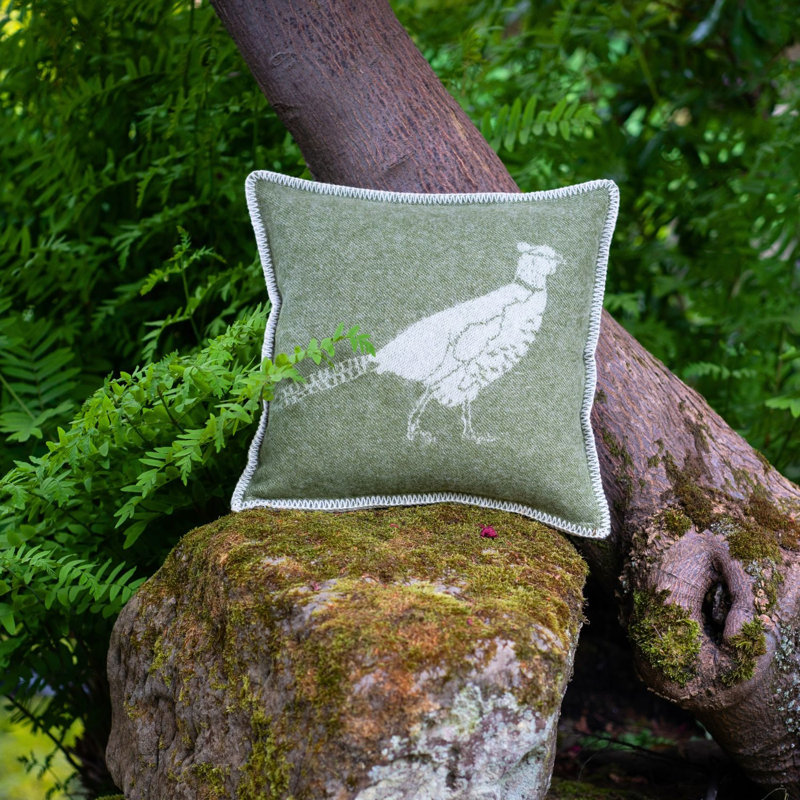 Cushion