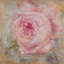 «Rose Gold I» par Debi Coules - Estampe numérique sur toile tendue avec châssis-21485460