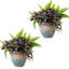 Jardinière intérieure / extérieure Chanze - 12 po x 12 po x 10 po - pot de fleurs rond en céramique à 2 compartiments - bleu / beige-1299076645-1299076648-1299076649