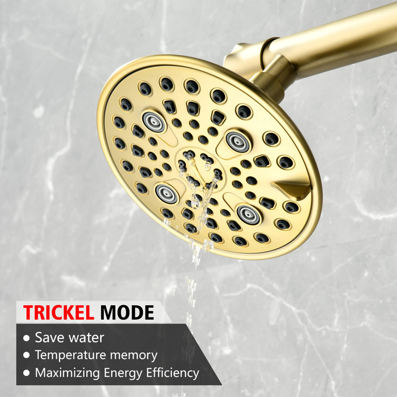 Dual Shower Head Combo Set For Couples with 16 Inch Long Shower Arm, Brushed Gold