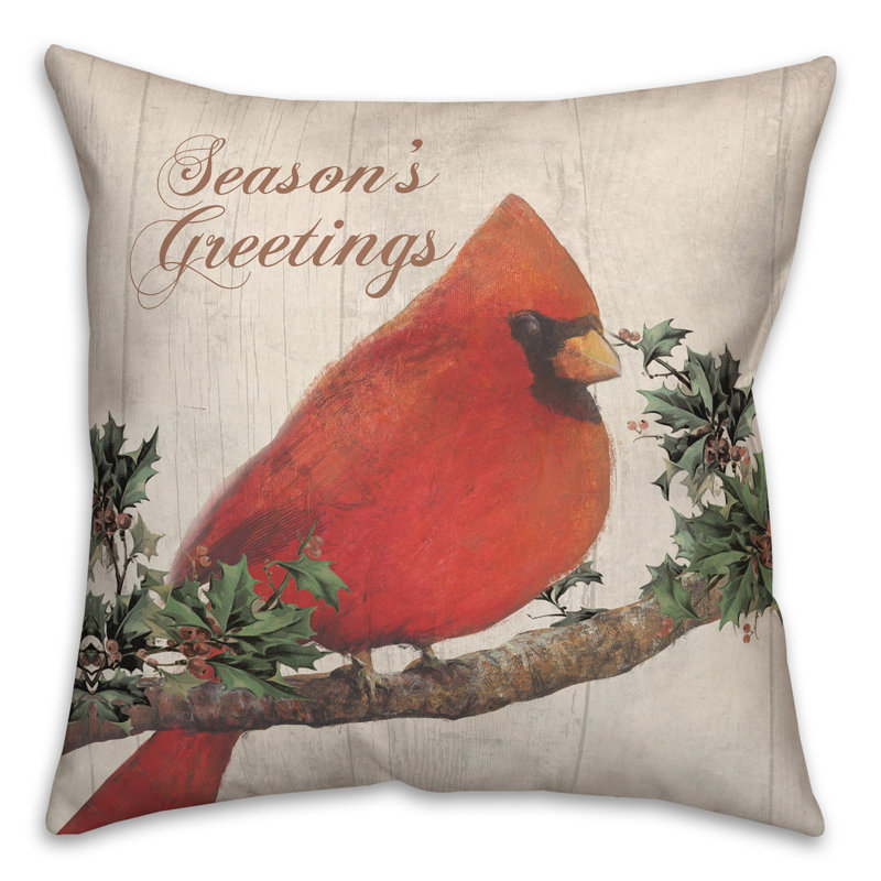  Square Pillow Cover & Insert