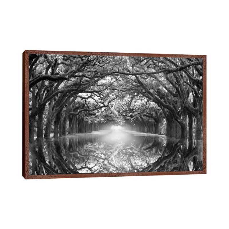 Oak Alley Reflection - Print on Canvas, 66.04 cm H x 45.72 cm W, Brown Floater Framed