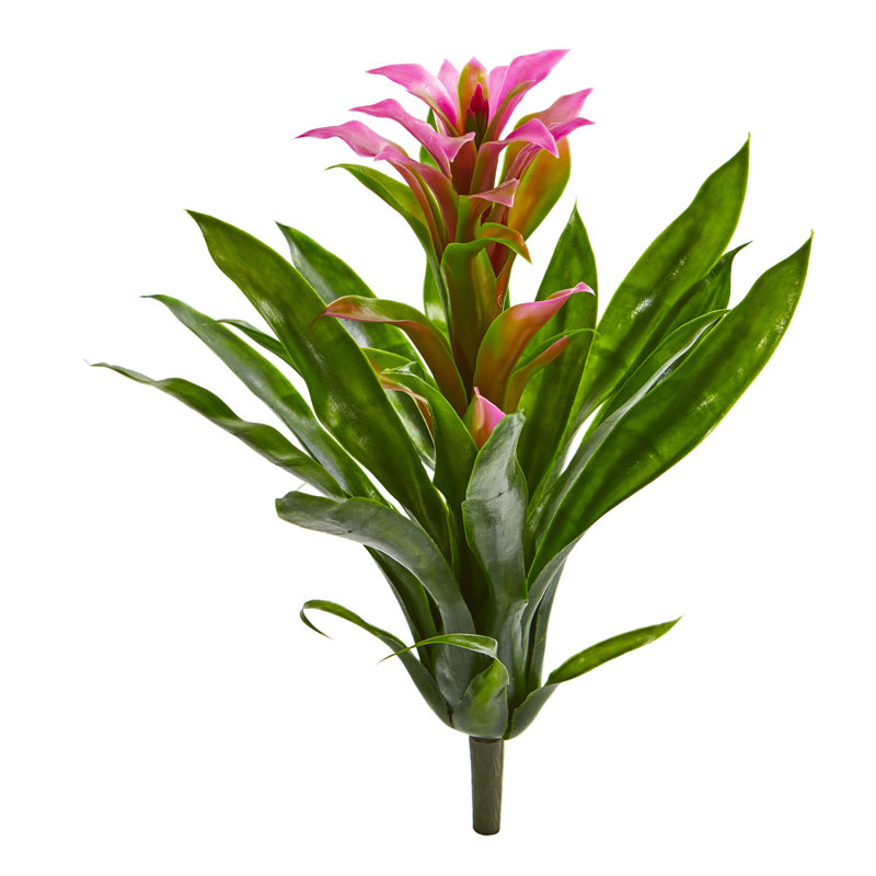 Bromeliad Arrangement, Purple