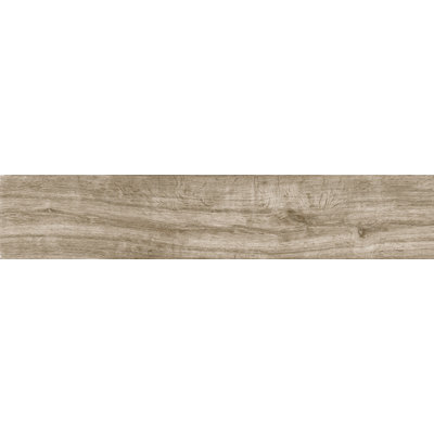 Wild 9" x 48" Porcelain Wood Look Wall & Floor Tile