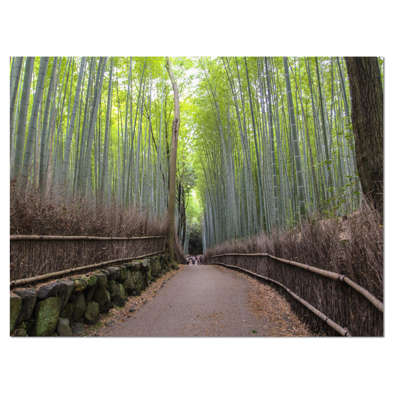 Arashiyama bambou path japan, reproduction de photo sur toile tendue, H 8 po x l 12 po x P 1 po