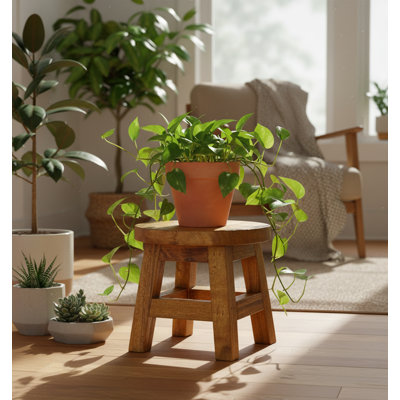 Plant Stand