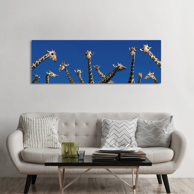 Curious Giraffes (Concept) Kenya Africa - Wrapped Canvas Panoramic Print, 182.88 cm H x 60.96 cm W