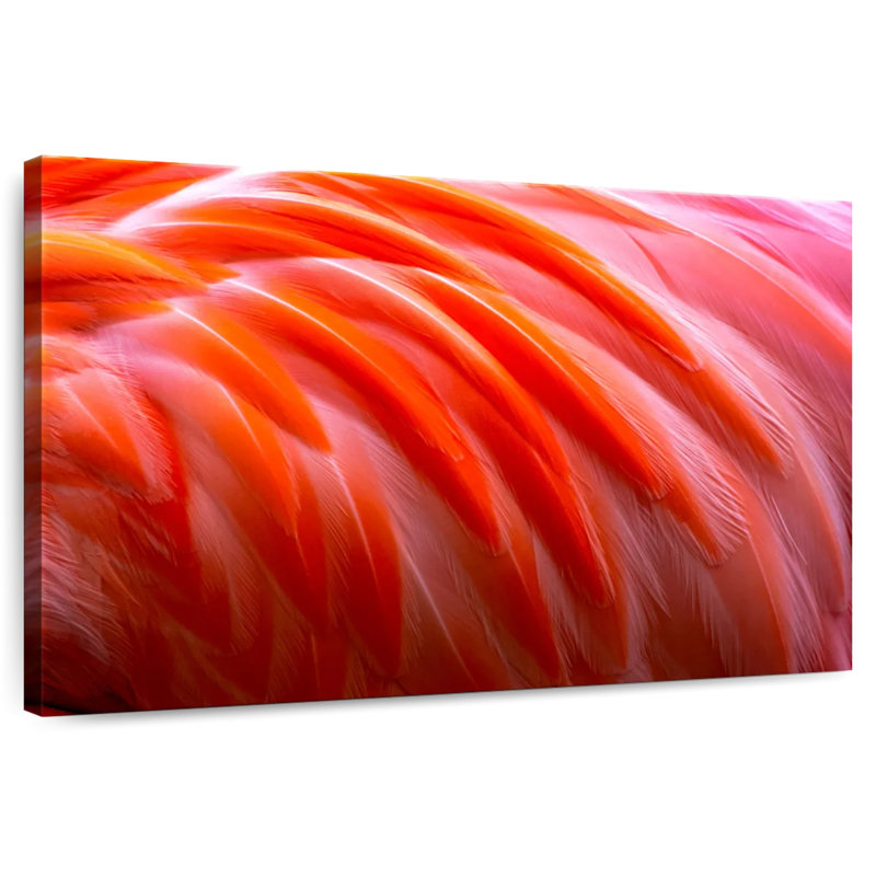 Brampt Bright Pink Flamingo Feathers