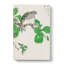Barbary Dove and Oak Tree by Numata Kashu - Wrapped Canvas-55315794