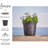 Pot Planter